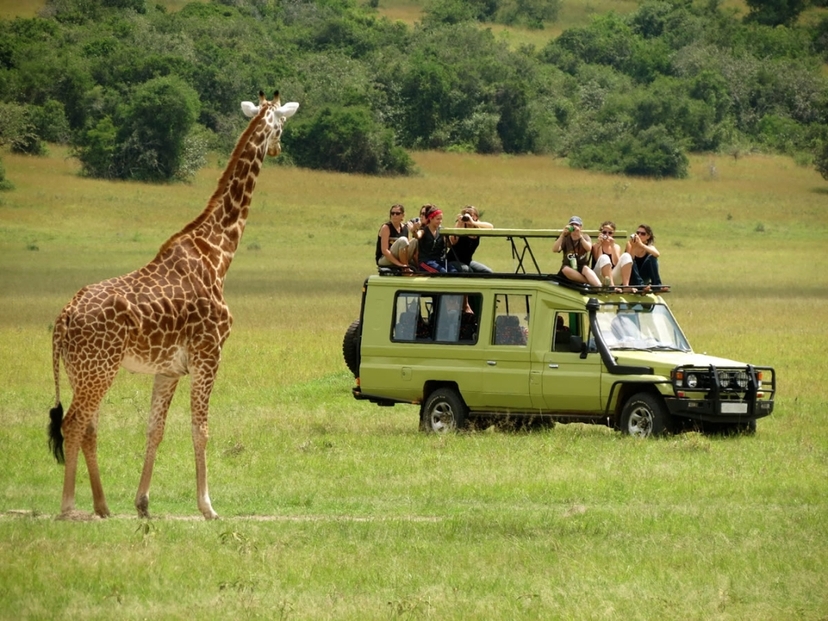3 Days Exploring Amboseli and Tsavo West National Parks 3