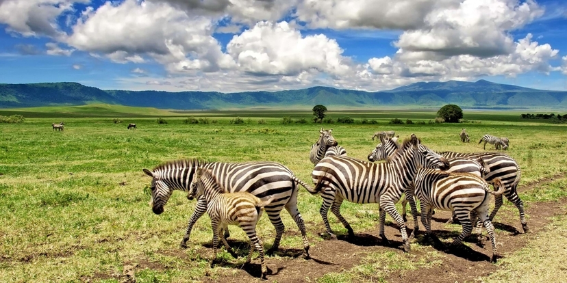 3 Days Exploring Amboseli and Tsavo West National Parks 4