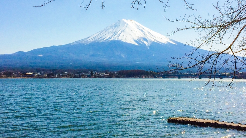 Japan’s Best from Tokyo to Osaka - Customizable 3
