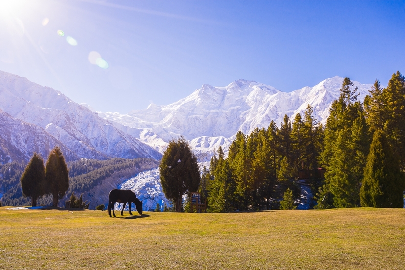 Heavenly Highlands: Exploring Skardu, Hunza, and Fairy Meadows 3