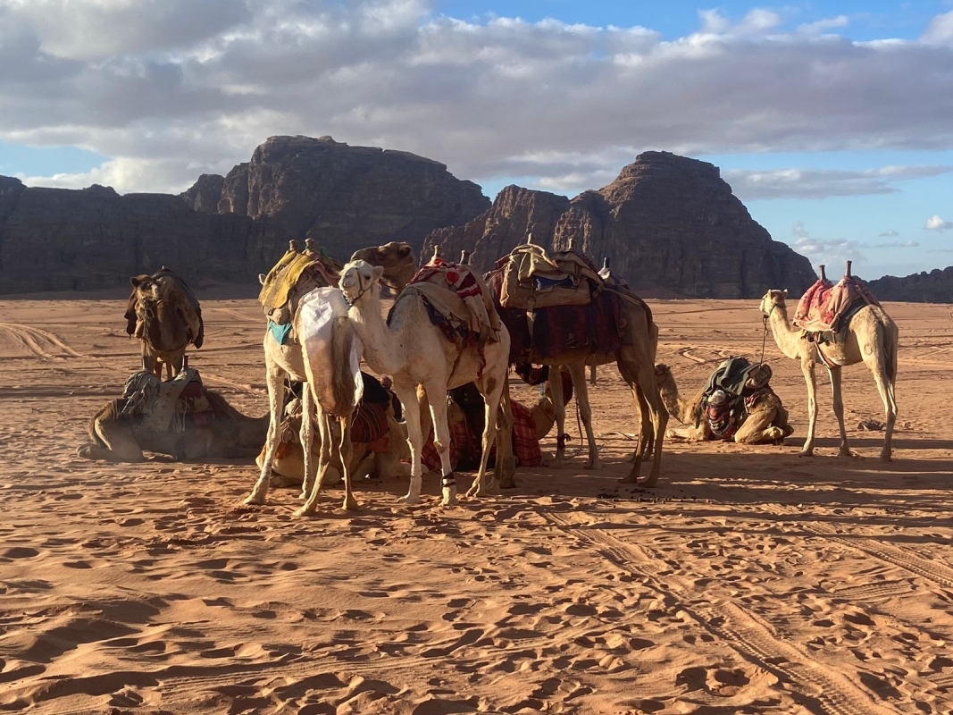 Jordan & Egypt: Petra to the Pyramids 1