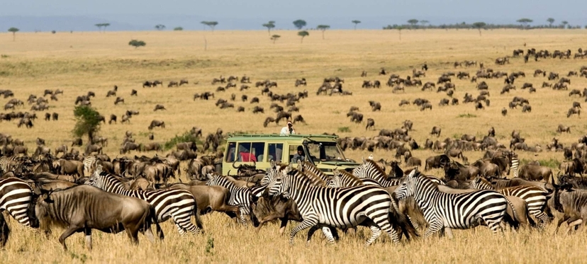 Ultimate Maasai Mara Escape: 3 Days of Wildlife & Nature 2