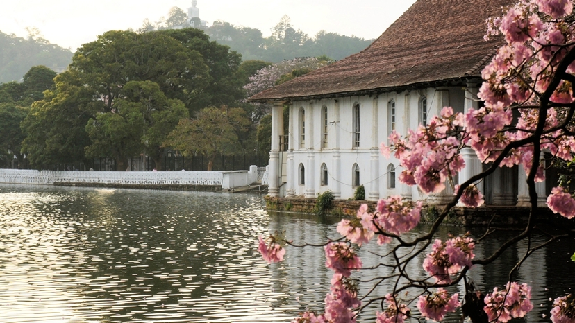 Kandy Day Tour All Included 3