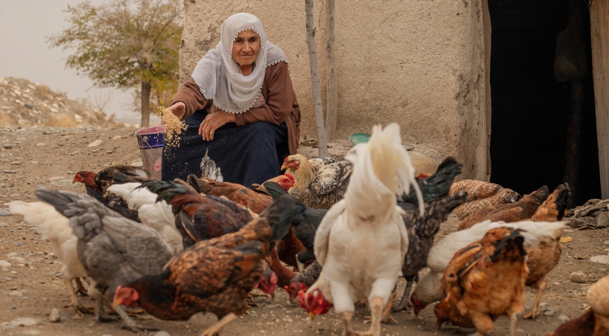 8 Days South Anatolia Tour 1