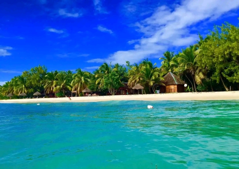 Madagascar magical 2