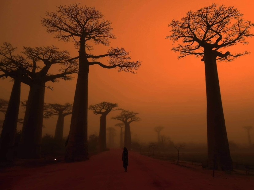 Madagascar magical 3