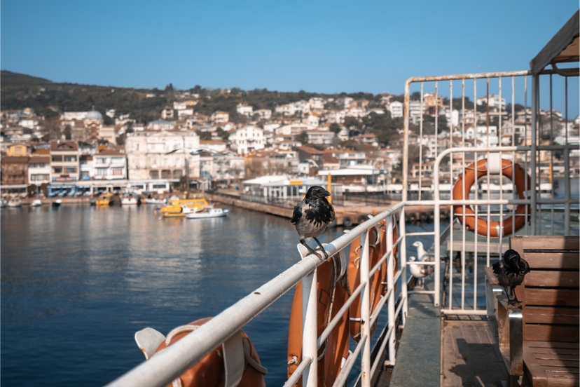 Pearls of Turkey 7 Nights 8 Days 3