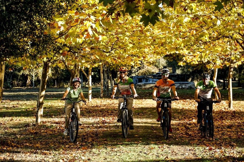 Cycling in Paradise 2