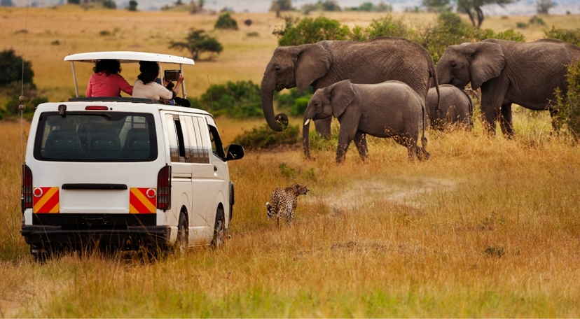 10 Day Affordable Classic Highlights of Kenya: Bush and Beach Tour 3
