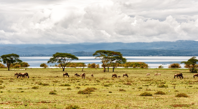 10 Day Affordable Classic Highlights of Kenya: Bush and Beach Tour 2