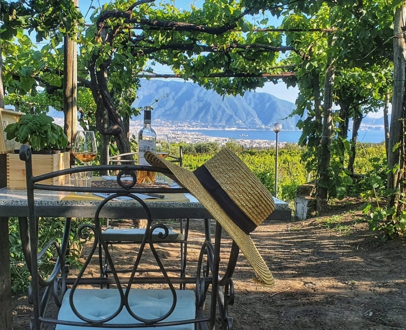 Explore Pompeii and Mt Vesuvius with Lunch and Wine Tasting from Naples - Private tour 2