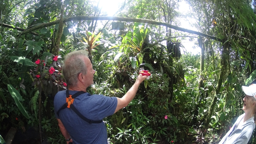 Mindo to watch hummingbirds , butterflies, chocolate experience and walking in the forest 3