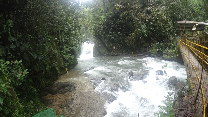 Mindo to watch hummingbirds , butterflies, chocolate experience and walking in the forest 4