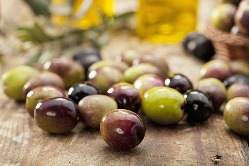 Olive Oil Tasting at the Mykonian Farm 4