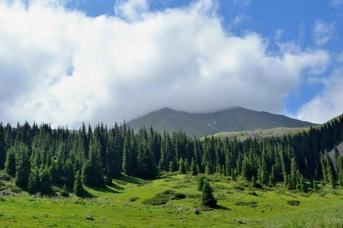 10 DAY, 9 NIGHT TOUR KYRGYZSTAN SUMMER 2024 1