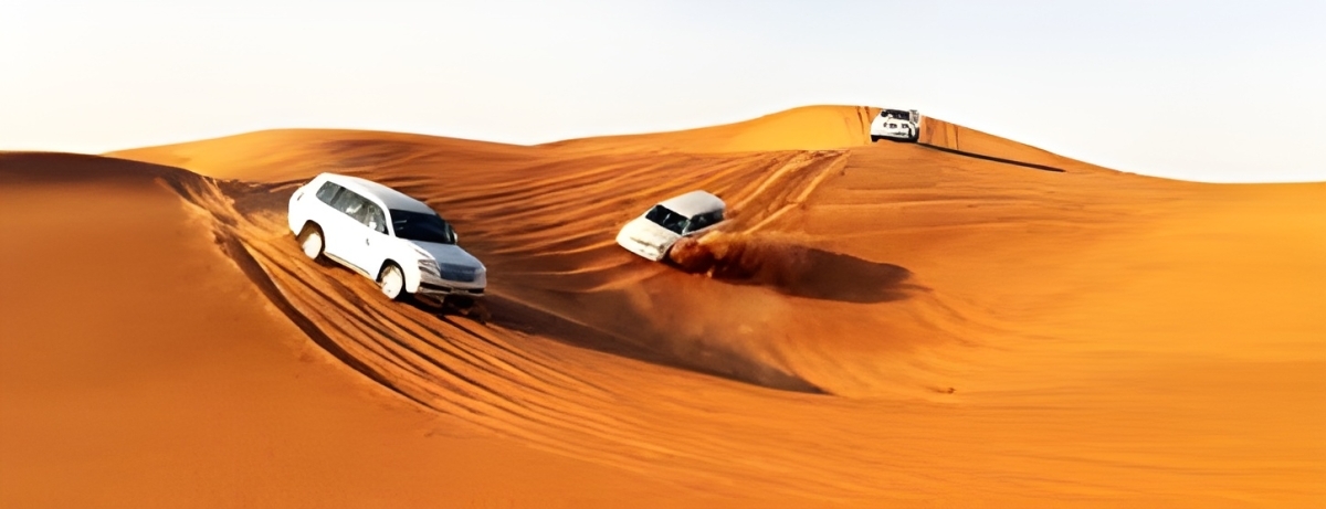 Dubai Morning Desert Safari 1