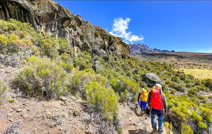 Conquering Mt. Kilimanjaro via the Northern Circuit Route 2