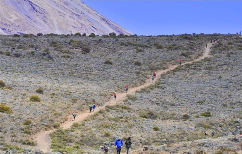 Conquering Mt. Kilimanjaro via the Northern Circuit Route 3