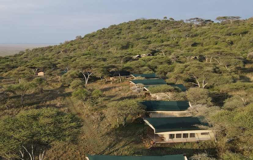 8 Days of Elegance in the Wild, Tanzania Style 2