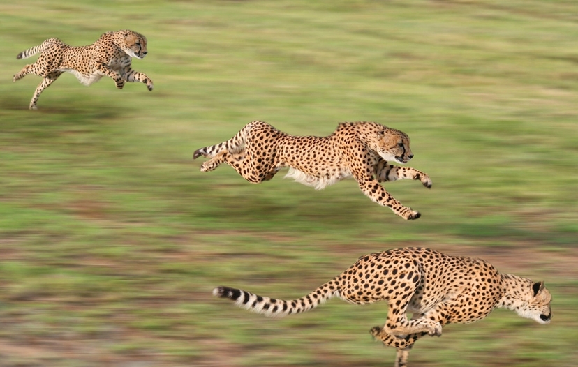 Experience 8 Days of Barefoot Luxury In Tanzania 4