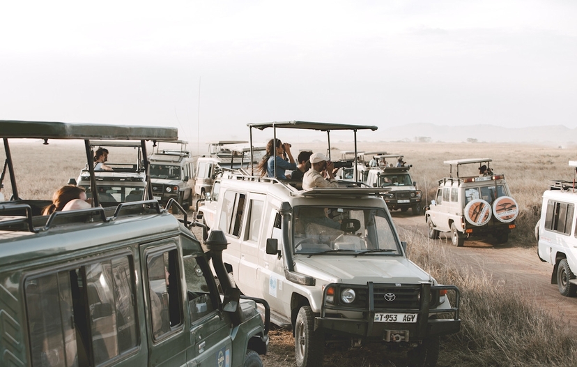 Day Trip to Ngorongoro Crater 3