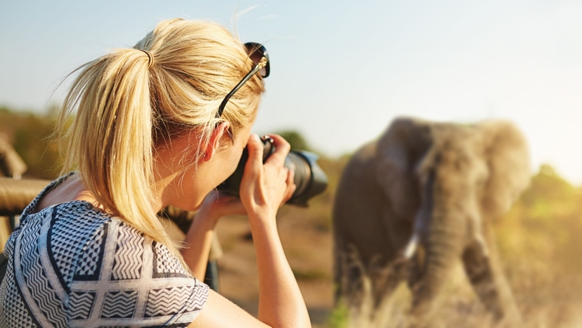 2 Days Luxury Selous Safari Tour 3