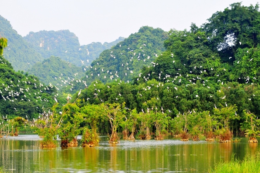 2 Days Ninh Binh Adventure tour - Option 2 4