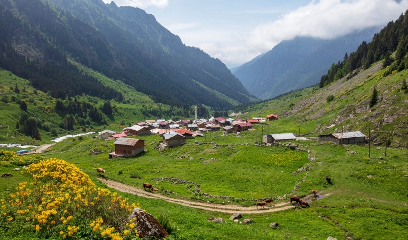 A Getaway in the Heart of Eastern Black Sea 2 Day Elevit Plateau Tour 4