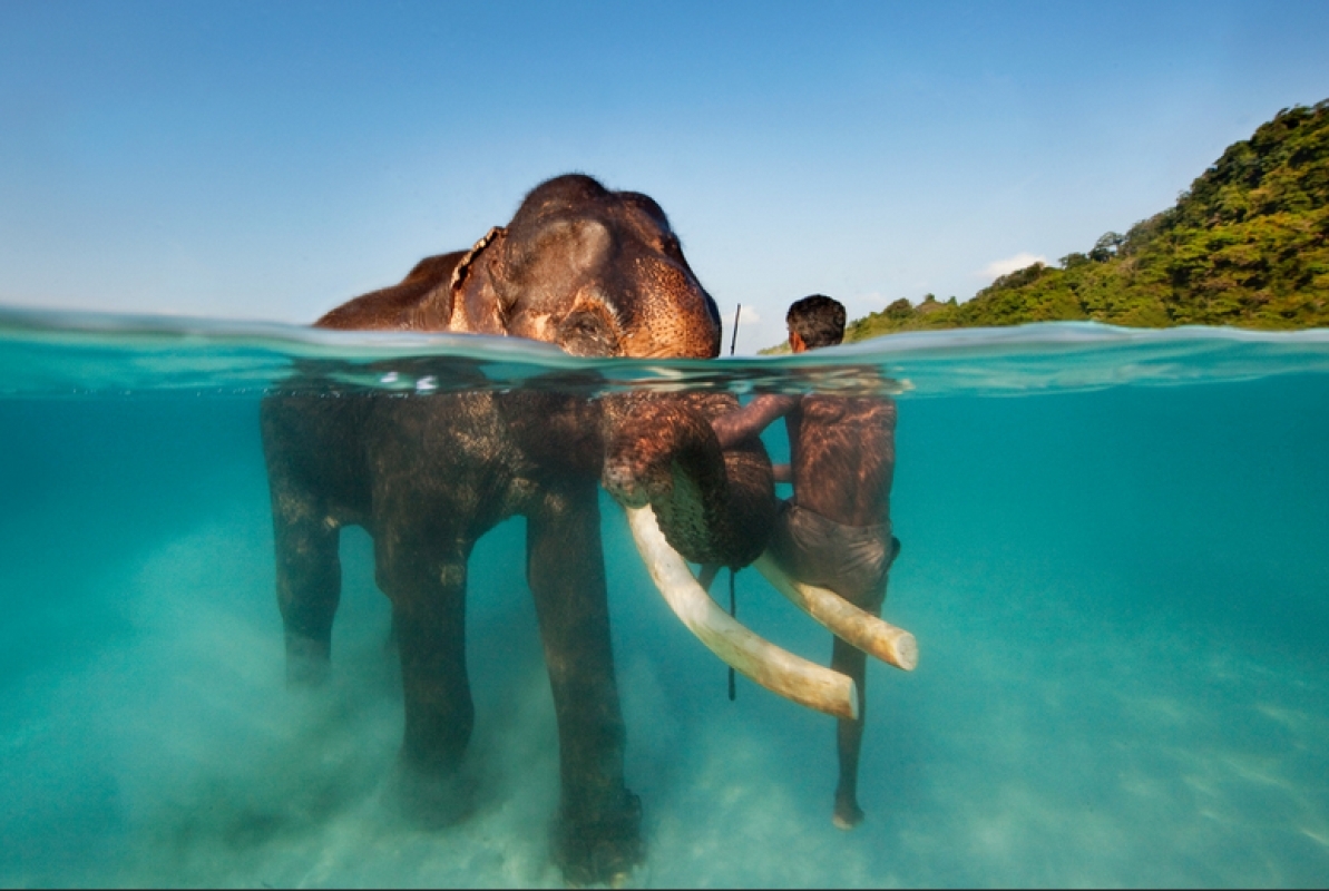 Enjoy Honeymoon in Andaman 5 Nights / 6 Days 1