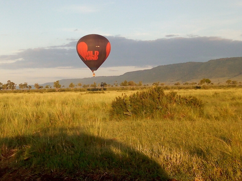Kenya's Finest – 6 Days Through Samburu, Lake Nakuru & Masai Mara 2