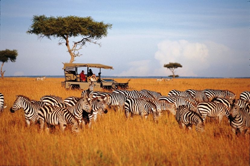 7 Day Family Safari 3