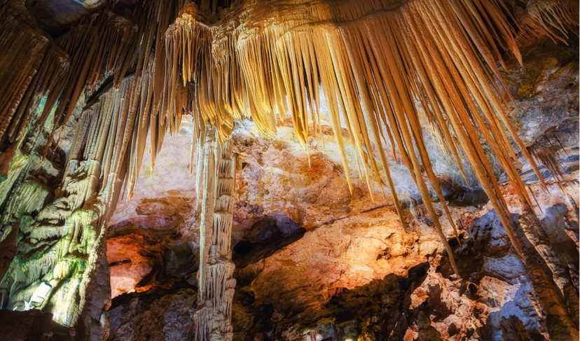 5 Day Guided Istanbul and Trabzon Tour: Bosphorus, Uzungöl & Sumela Monastery 3