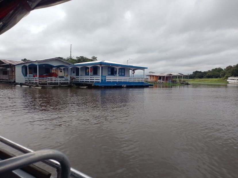 Tour Safári Belezas Naturais da Amazônia (compartilhado) 3
