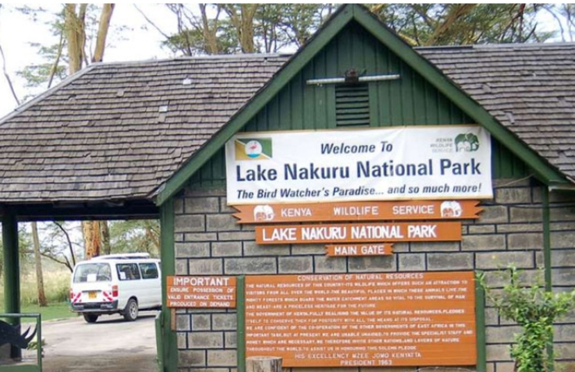 4 Days Masai Mara & L. Nakuru National Park 2