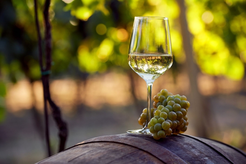 Discover Pelješac Peninsula - A Wine Tour (Small Groups) 2