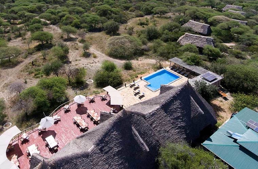 4-Day Magical Balloon Safari in Northern Tanzania: Ngorongoro Crater & Serengeti 2