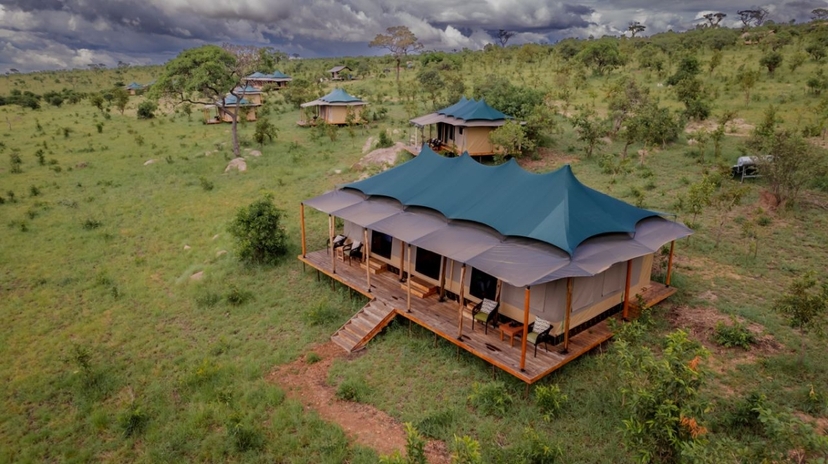 5-Day Mid-Range Tarangire, Ngorongoro Crater, and Ndutu Migration Safari 2