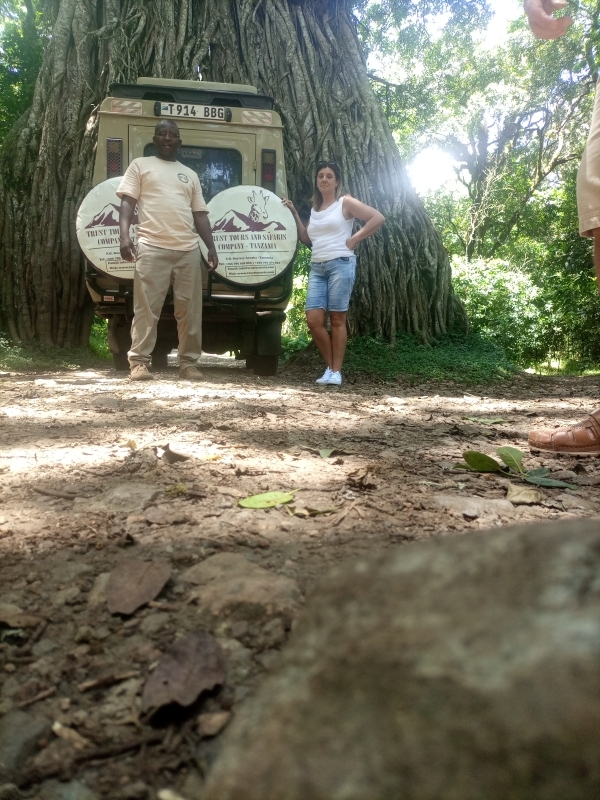 5-Day Mid-Range Tarangire, Ngorongoro Crater, and Ndutu Migration Safari 4