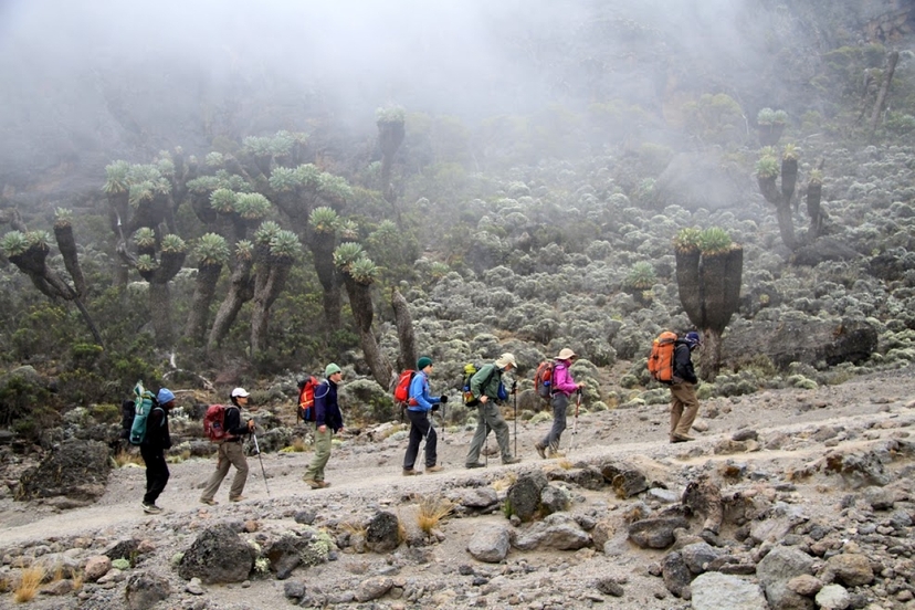 8 Days Kilimanjaro Lemosho Route via Western Breach Itinerary 4