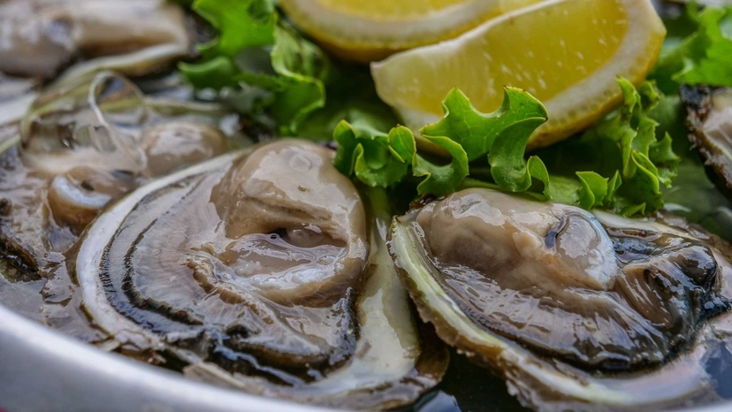 Discover Ston - A Half Day Tour With Oyster Tasting 3