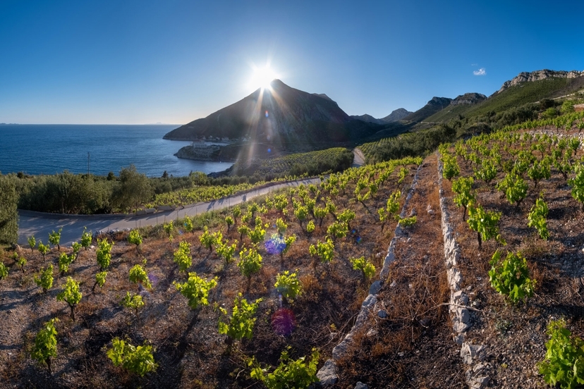 Discover Beauty of Korčula and Ston: A Private Full-Day Tour 4