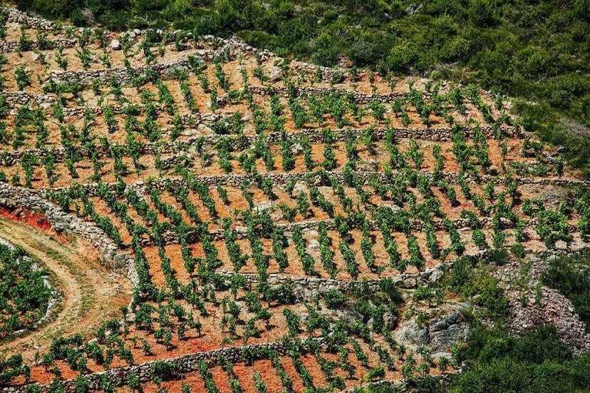 From Dubrovnik: Private Pelješac Wine Region and Ston Tour 2