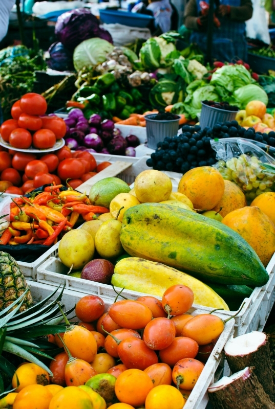 5 Days Colombia Cartagena Flavors and Nature Tour 4
