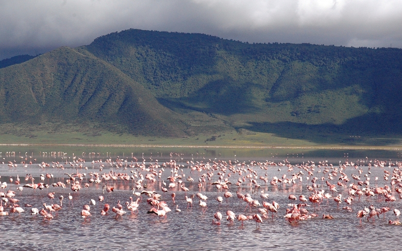 7-Day Budget Group Safari: Explore Masai Mara, Nakuru, Naivasha & Amboseli 3