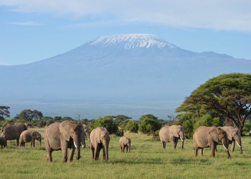 7-Day Budget Group Safari: Explore Masai Mara, Nakuru, Naivasha & Amboseli 4