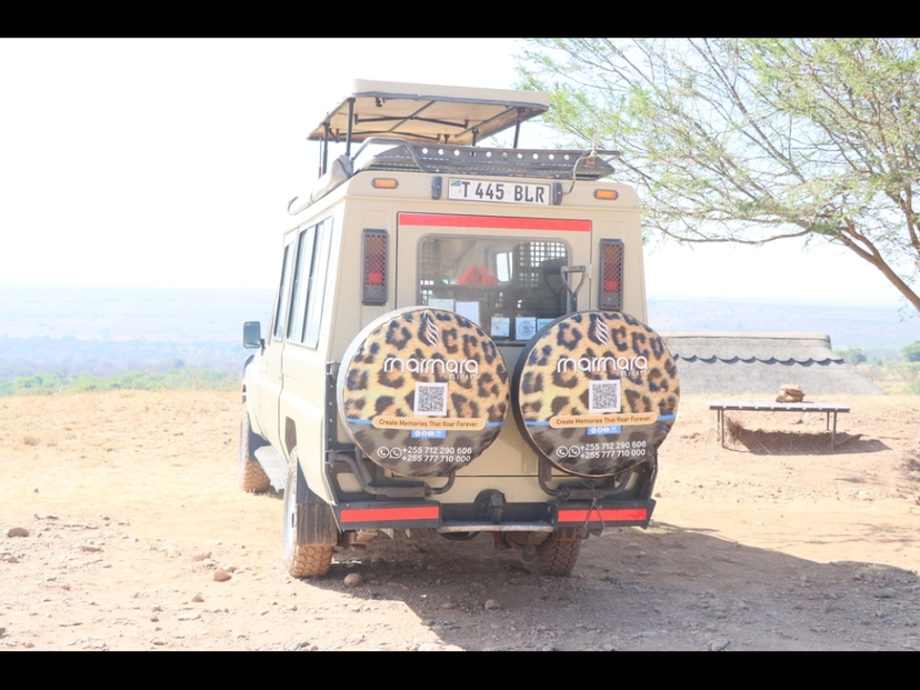 Big 5 Safari in Tanzania 3