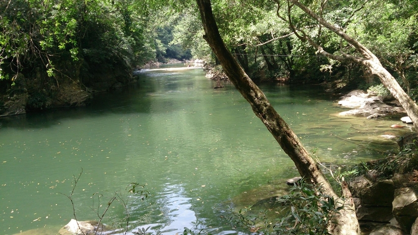 4 Days in Colombia - Urban Vibes & Wild Sides: Medellín to Rio Claro Escape 2