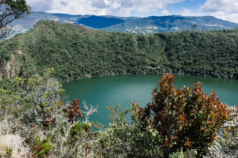 7 Days in Colombia - Bogotá to the Amazon: Nature, Culture & Discovery 3