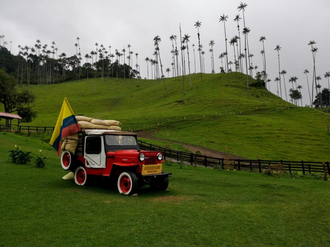 5 Days in Colombia: Essence of Coffee Land: Culture, Nature & Flavor in Quindío 1