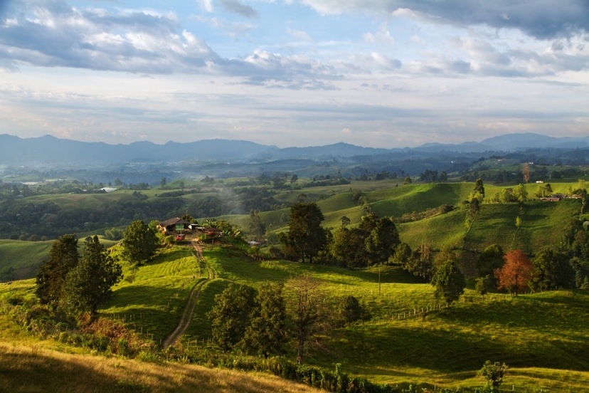5 Days in Colombia: Essence of Coffee Land: Culture, Nature & Flavor in Quindío 2